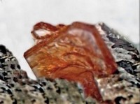 /album/galerie-photos/trimounts-bastnasite-6824-mod5-jpg/